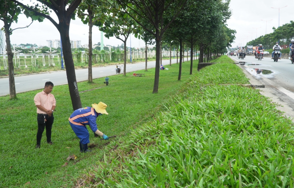 GIÁM SÁT KỸ THUẬT