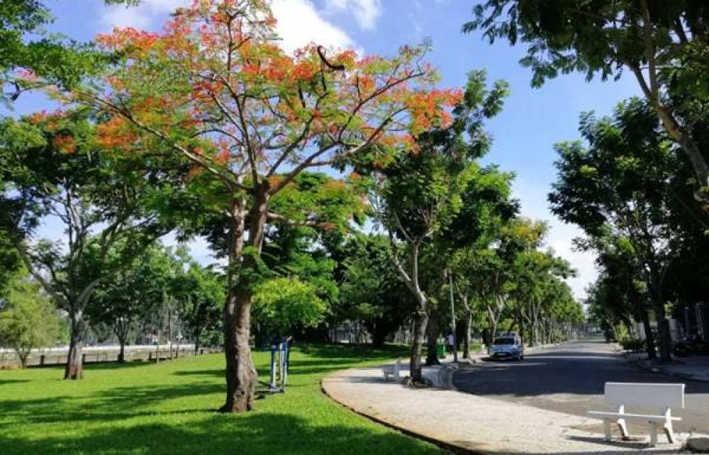 TOP 7 CÔNG TY CÂY XANH UY TÍN NHẤT TẠI TP. HCM