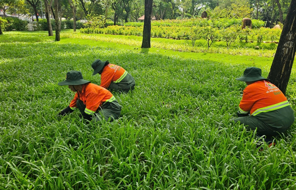 SẮC CAM NĂNG ĐỘNG HÒA CÙNG MÀU XANH TƯƠI MÁT - DIỆN MẠO MỚI CỦA HOÀNG LAM!