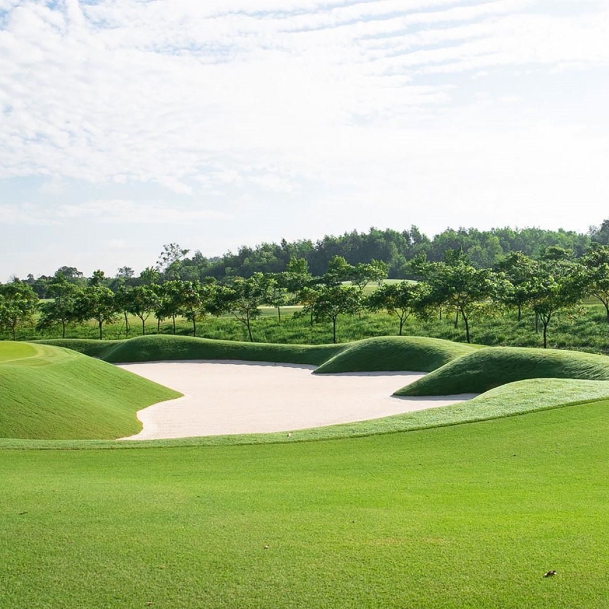 THI CÔNG DỰ ÁN HARMONIE GOLF COURSE