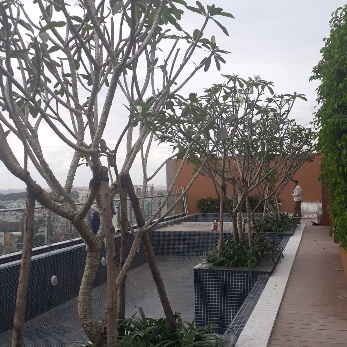 IBIS HOTEL / HÀ ĐÔ AIRPORT