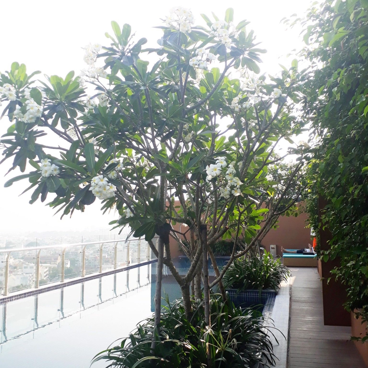 IBIS HOTEL / HÀ ĐÔ AIRPORT