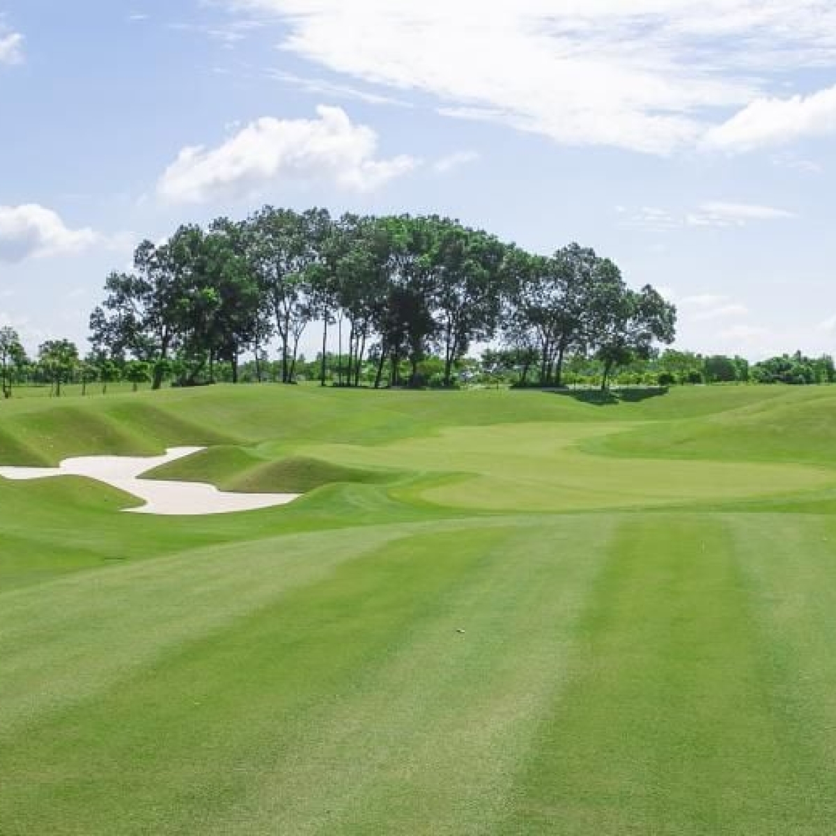 THI CÔNG DỰ ÁN HARMONIE GOLF COURSE