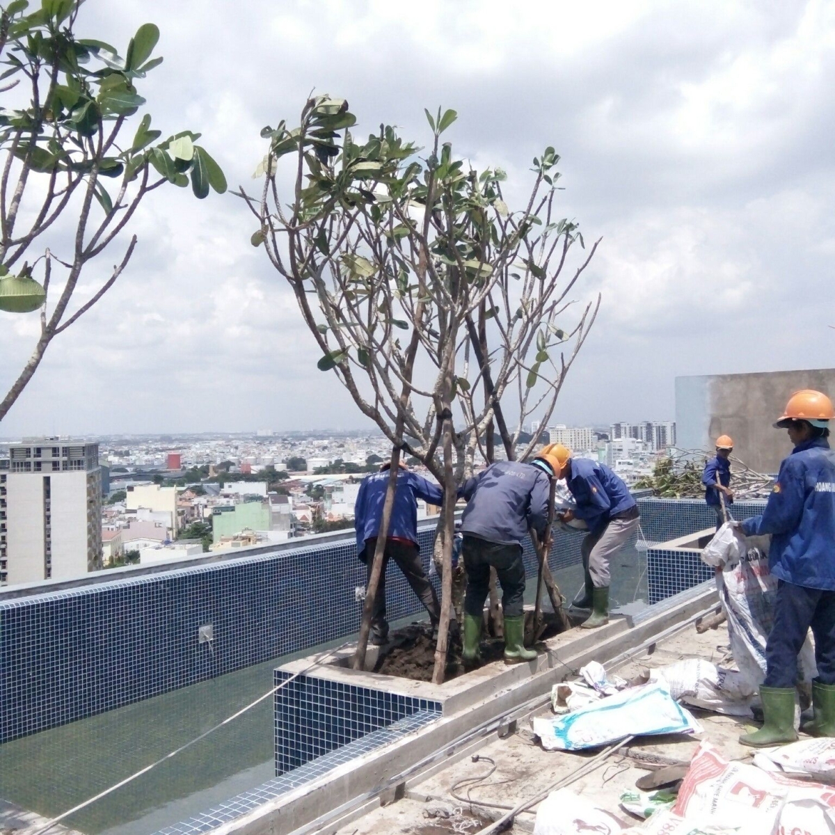 IBIS HOTEL / HÀ ĐÔ AIRPORT