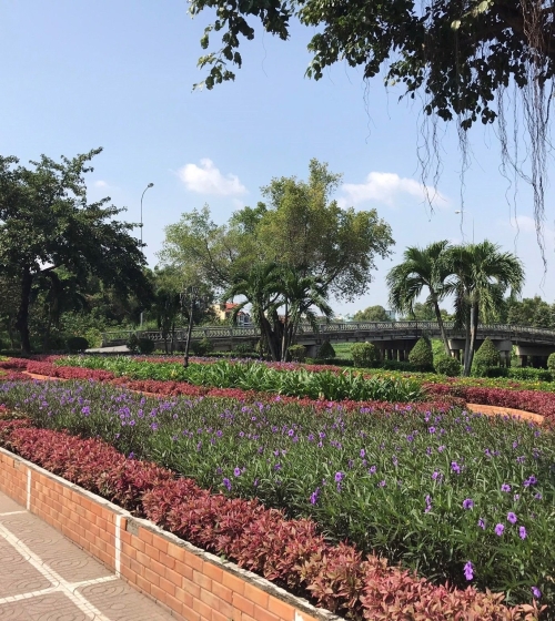 CÔNG VIÊN VĂN HÓA GÒ VẤP