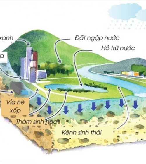 Lợi ích nổi bật của GCT CRYSTAL BIO trong xây dựng Thành Phố Bọt Biển – Giải pháp thoát nước nhanh chóng cho nền công viên và lối đi vỉa hè