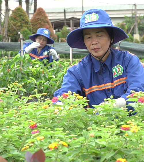 THIẾT LẬP VƯỜN ƯƠM