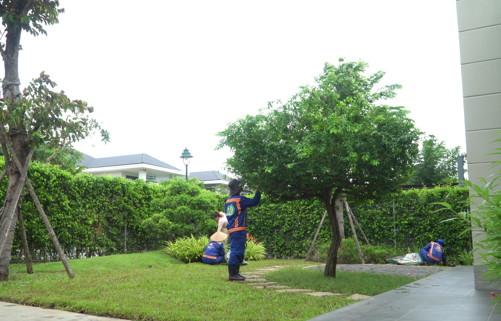 TOP 5 CÔNG TY CHUYÊN VỀ CÂY XANH LỚN NHẤT VIỆT NAM