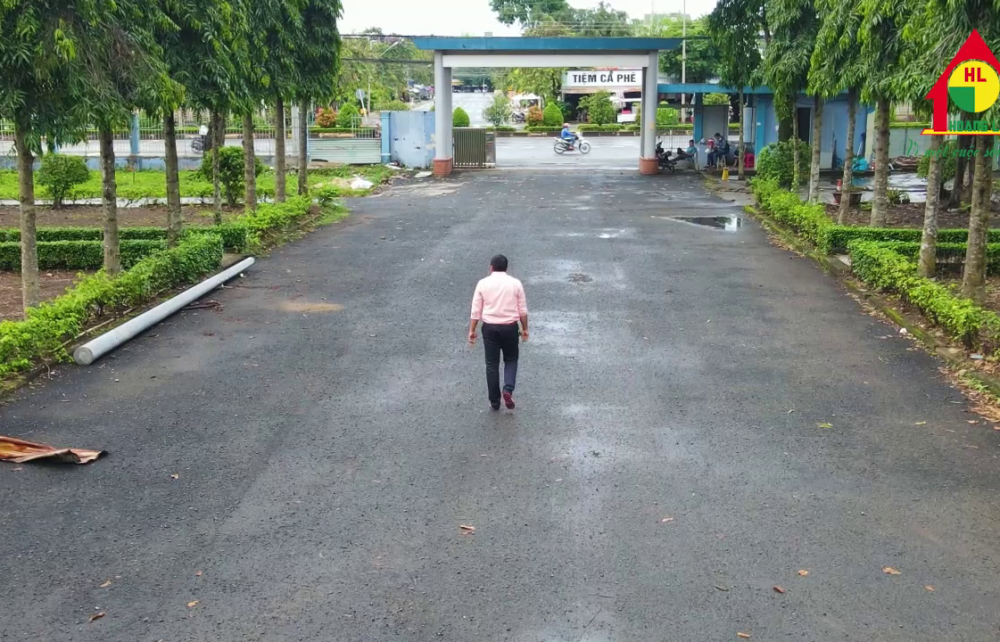 Nâng Tầm Cảnh Quan Đại Học SPKT Bình Phước: Hành Trình "Thay Áo Mới" Cho Cây Xanh