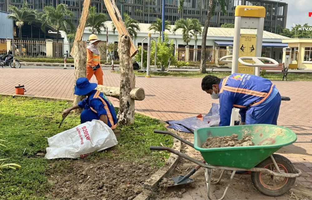 CÔNG NHÂN HOÀNG LAM VẪN HOÀN THÀNH TỐT VIỆC CHĂM SÓC CÂY XANH MẶC DÙ NẮNG NÓNG GAY GẮT