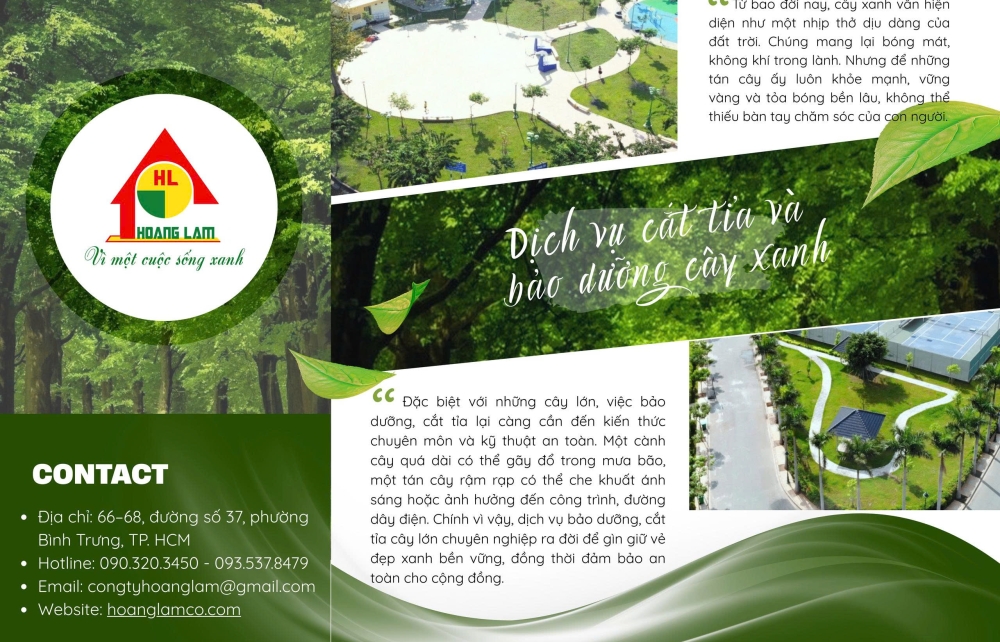 DỊCH VỤ CẮT TỈA VÀ BẢO DƯỠNG CÂY XANH CHUYÊN NGHIỆP TỪ HOÀNG LAM