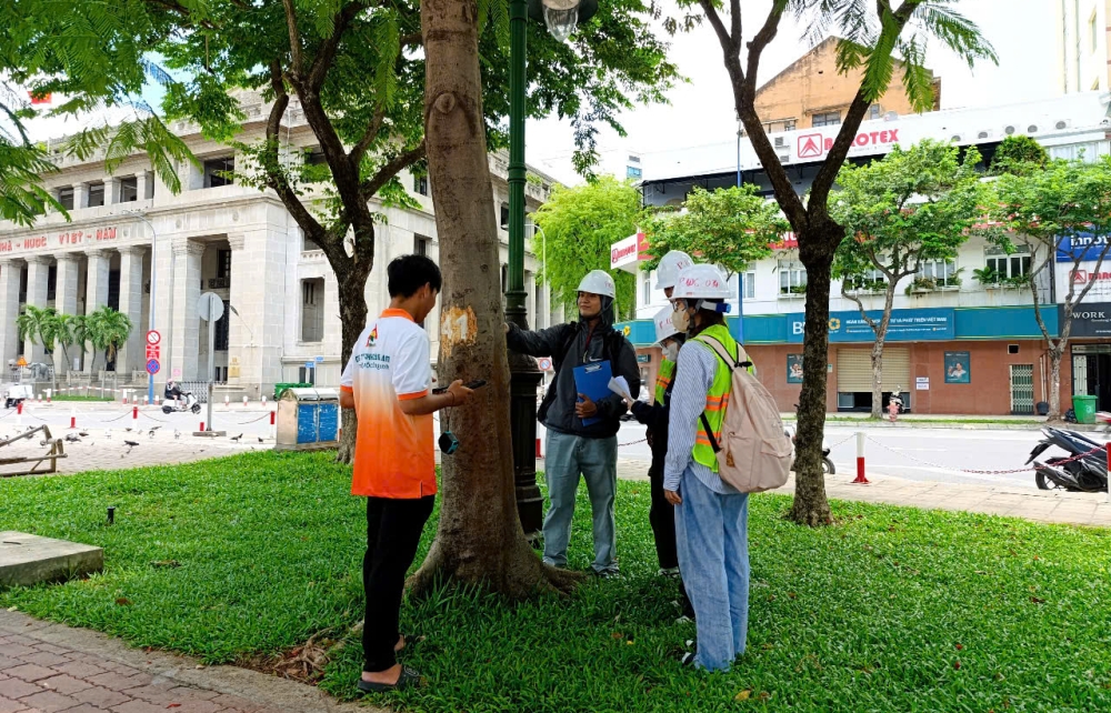 ỨNG DỤNG CÔNG NGHỆ GIS TRONG QUẢN LÝ CÂY XANH ĐÔ THỊ