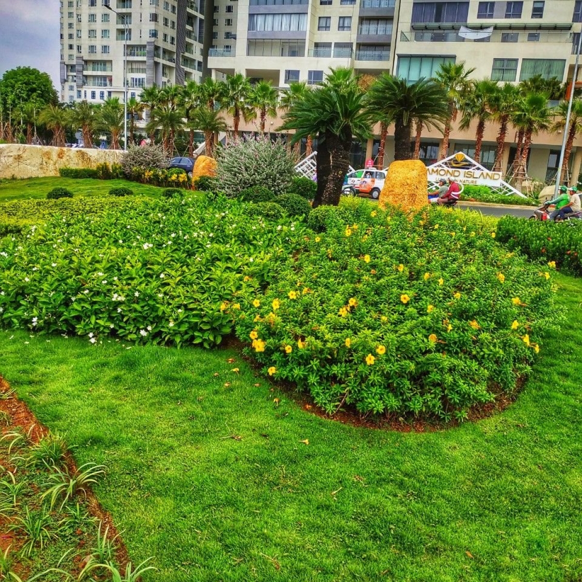 MẢNG XANH CẦU THỜI ĐẠI (CẦU QUA ĐẢO KIM CƯƠNG)