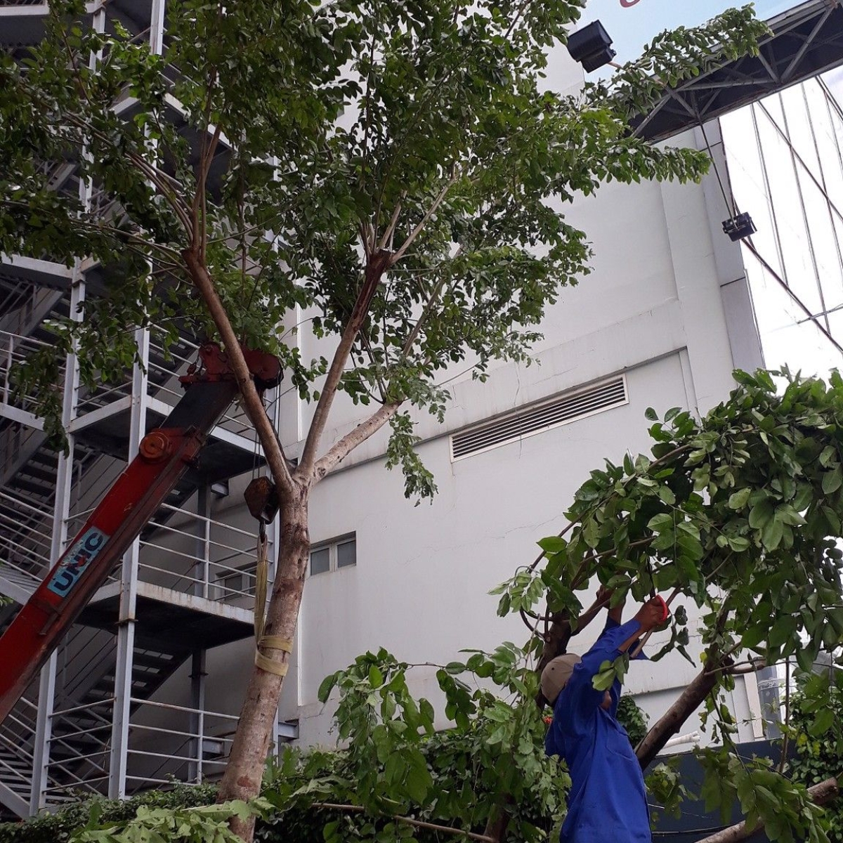 IBIS HOTEL / HÀ ĐÔ AIRPORT