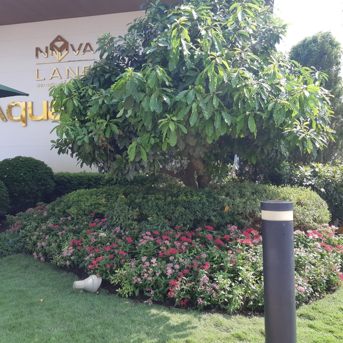 AQUA CITY GALLERY - NOVALAND