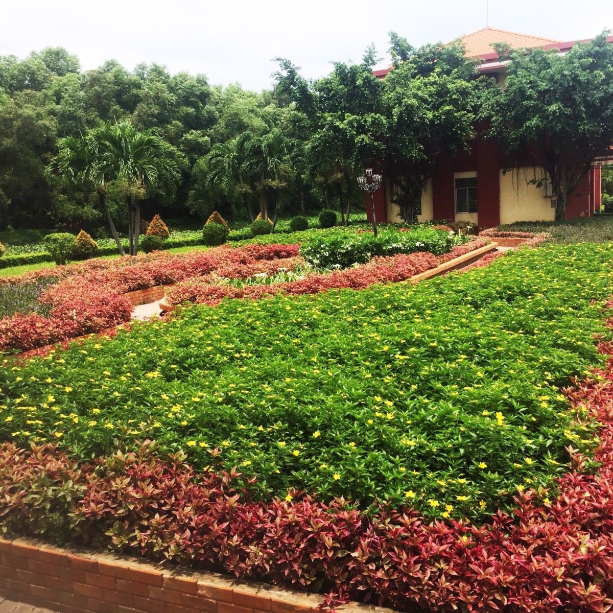 CÔNG VIÊN VĂN HÓA GÒ VẤP