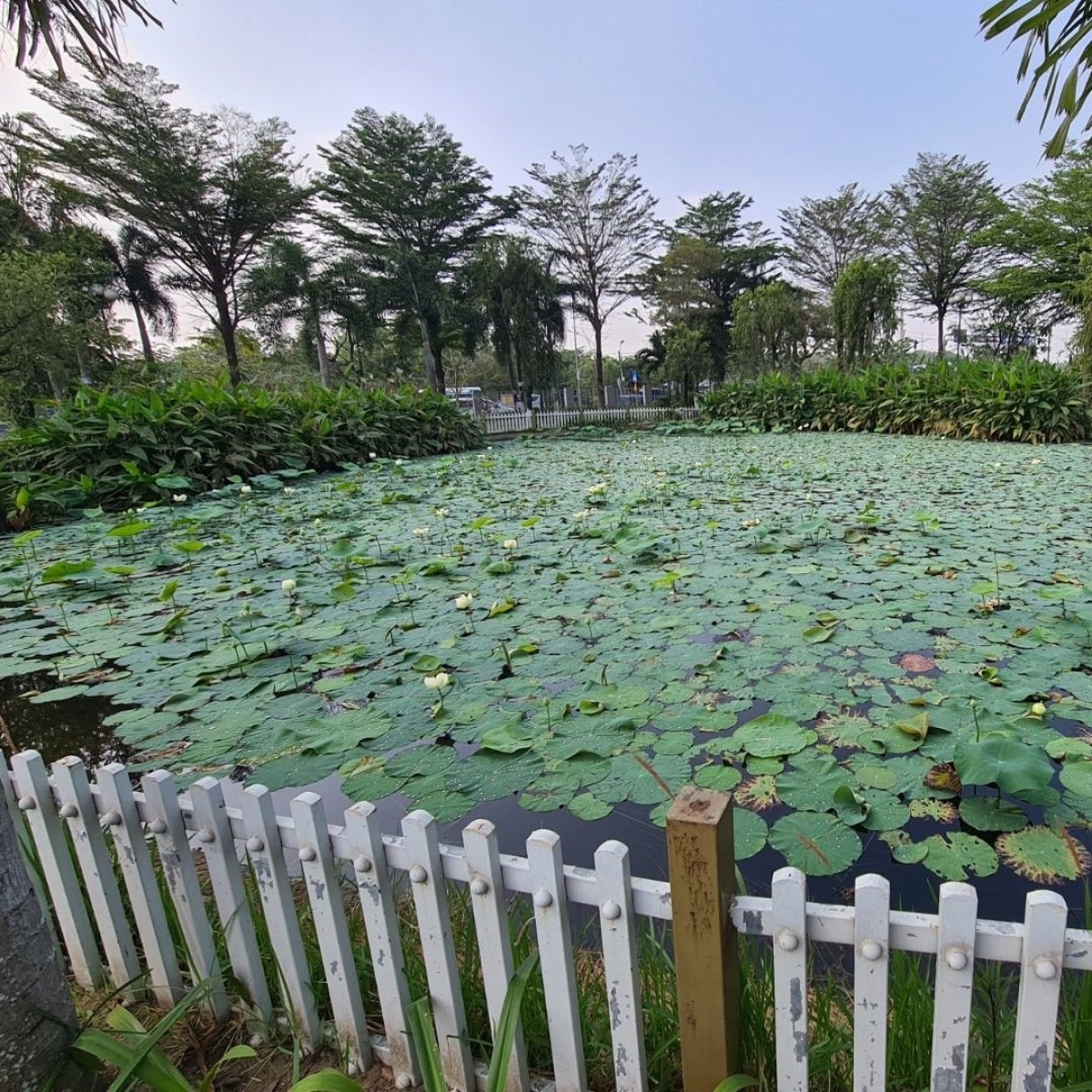 BỆNH VIỆN NHI ĐỒNG THÀNH PHỐ