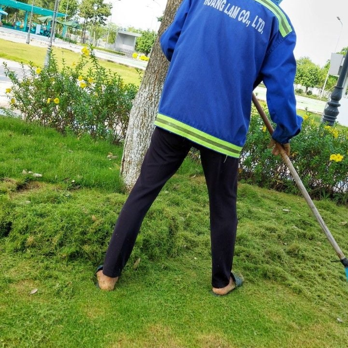 BỆNH VIỆN NHI ĐỒNG THÀNH PHỐ