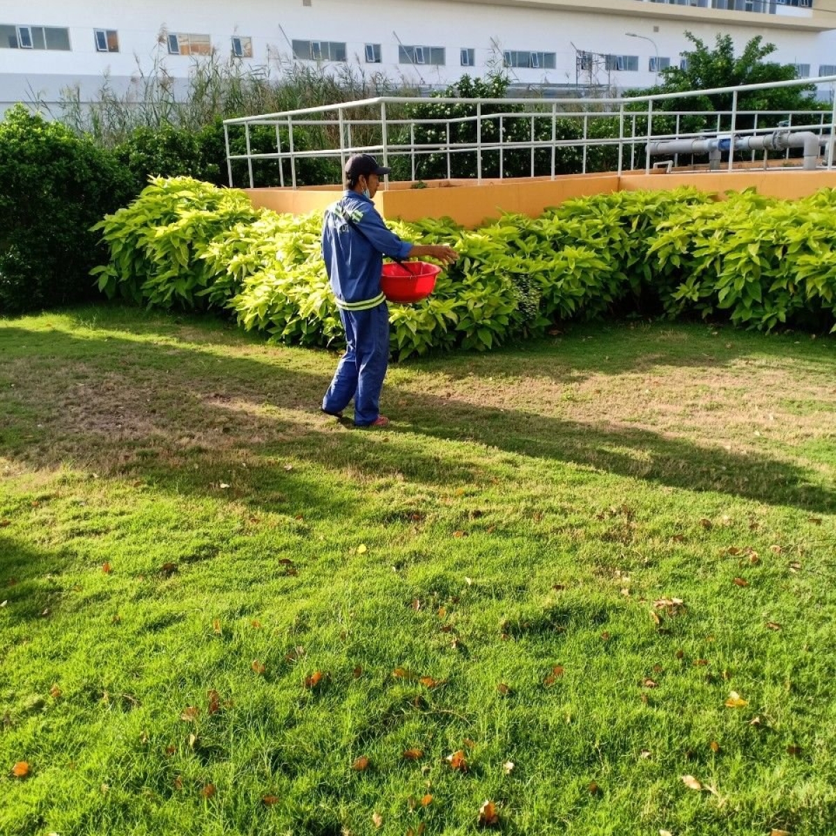 BỆNH VIỆN NHI ĐỒNG THÀNH PHỐ