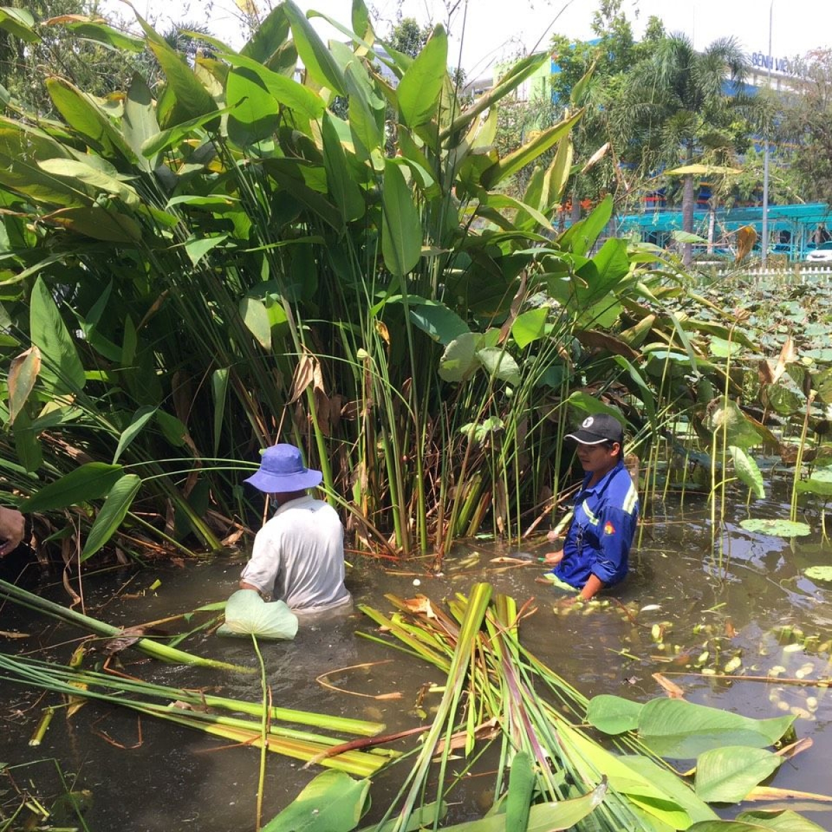 BỆNH VIỆN NHI ĐỒNG THÀNH PHỐ