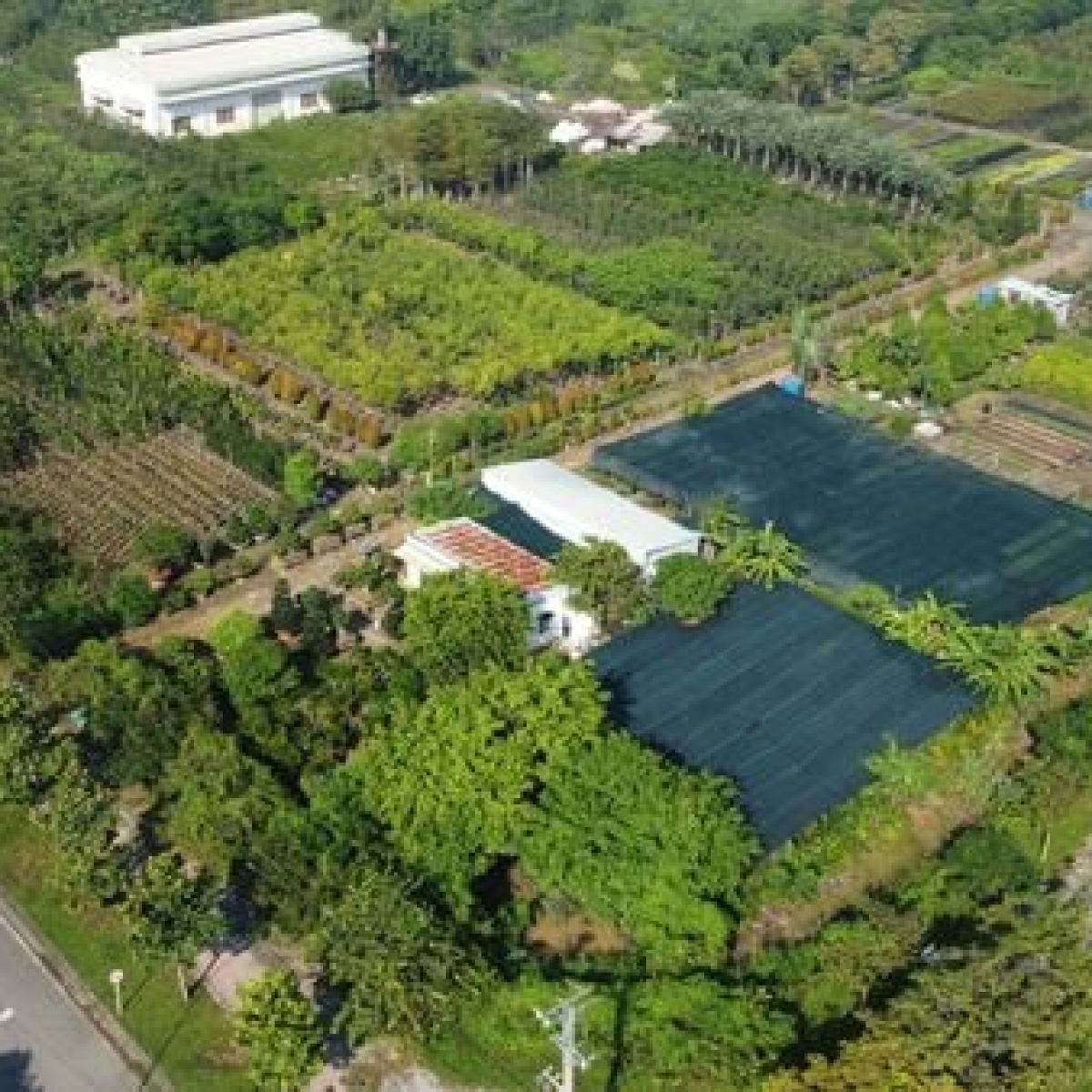 THIẾT LẬP VƯỜN ƯƠM CÂY GIỐNG 