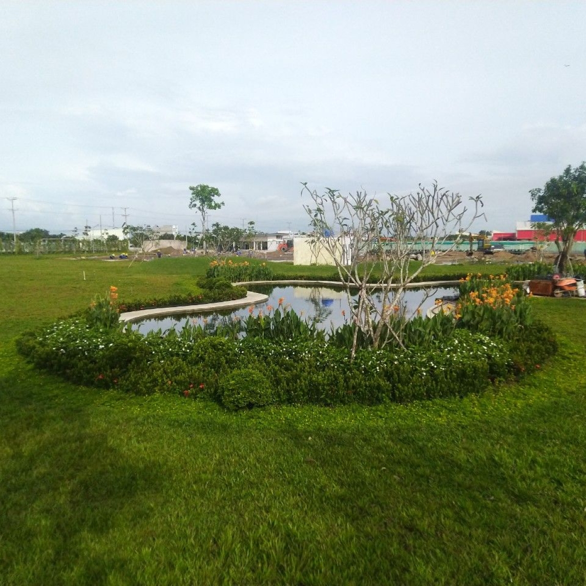 NHÀ MÁY MASAN HẬU GIANG