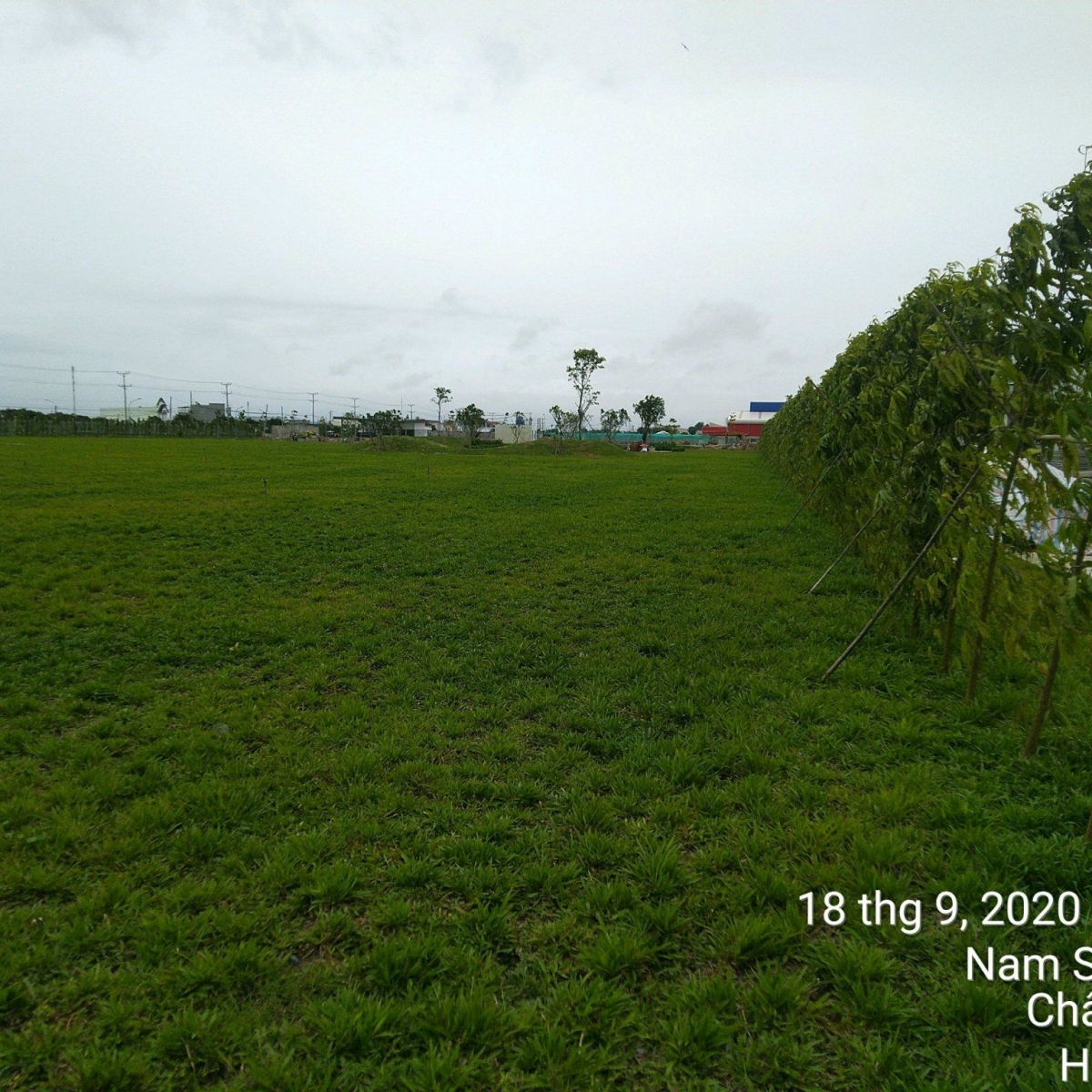 NHÀ MÁY MASAN HẬU GIANG