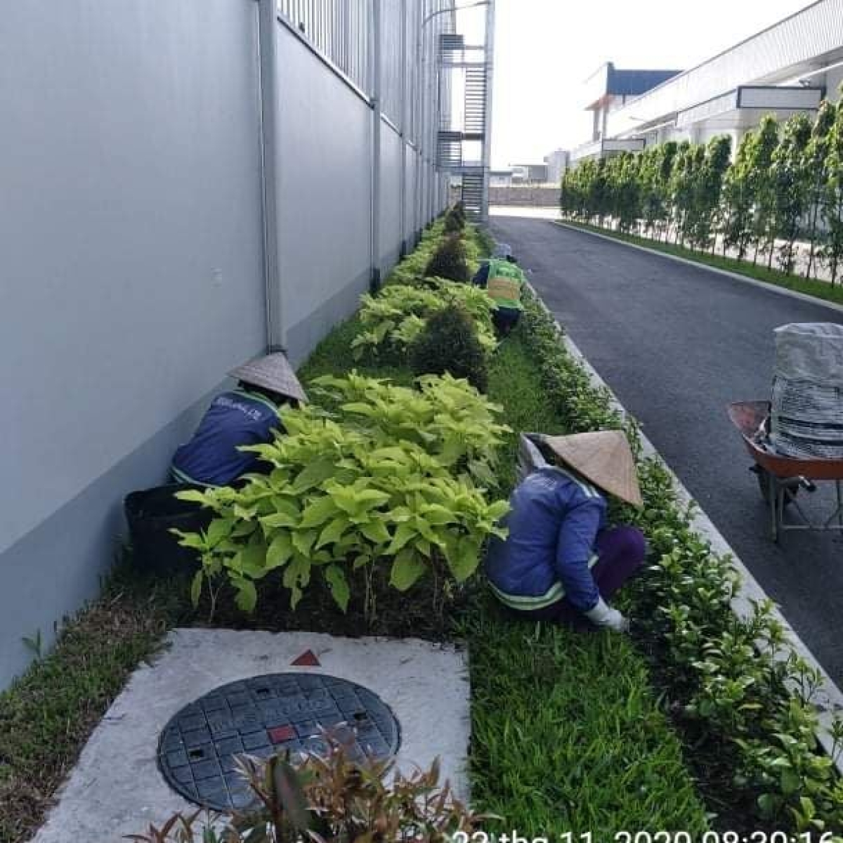 NHÀ MÁY MASAN HẬU GIANG