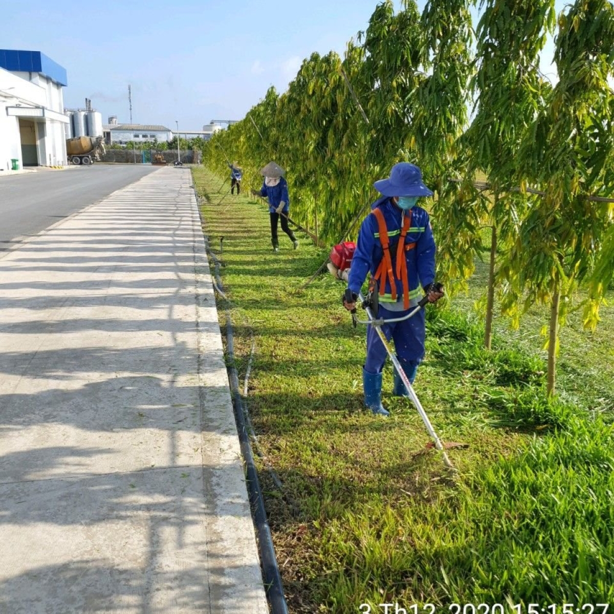 NHÀ MÁY MASAN HẬU GIANG