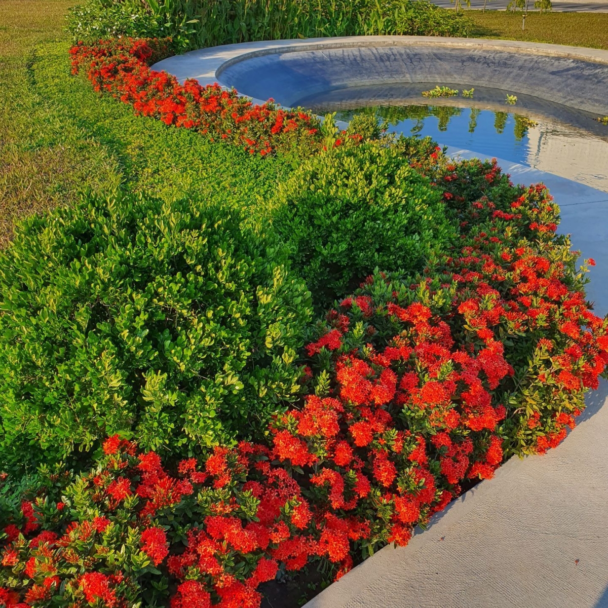 NHÀ MÁY MASAN HẬU GIANG