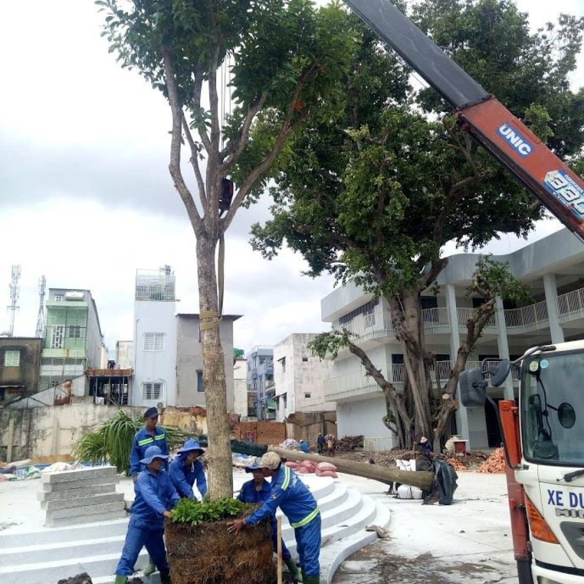STEAME GARTEN (TRƯỜNG MẦM NON ĐA ĐA)