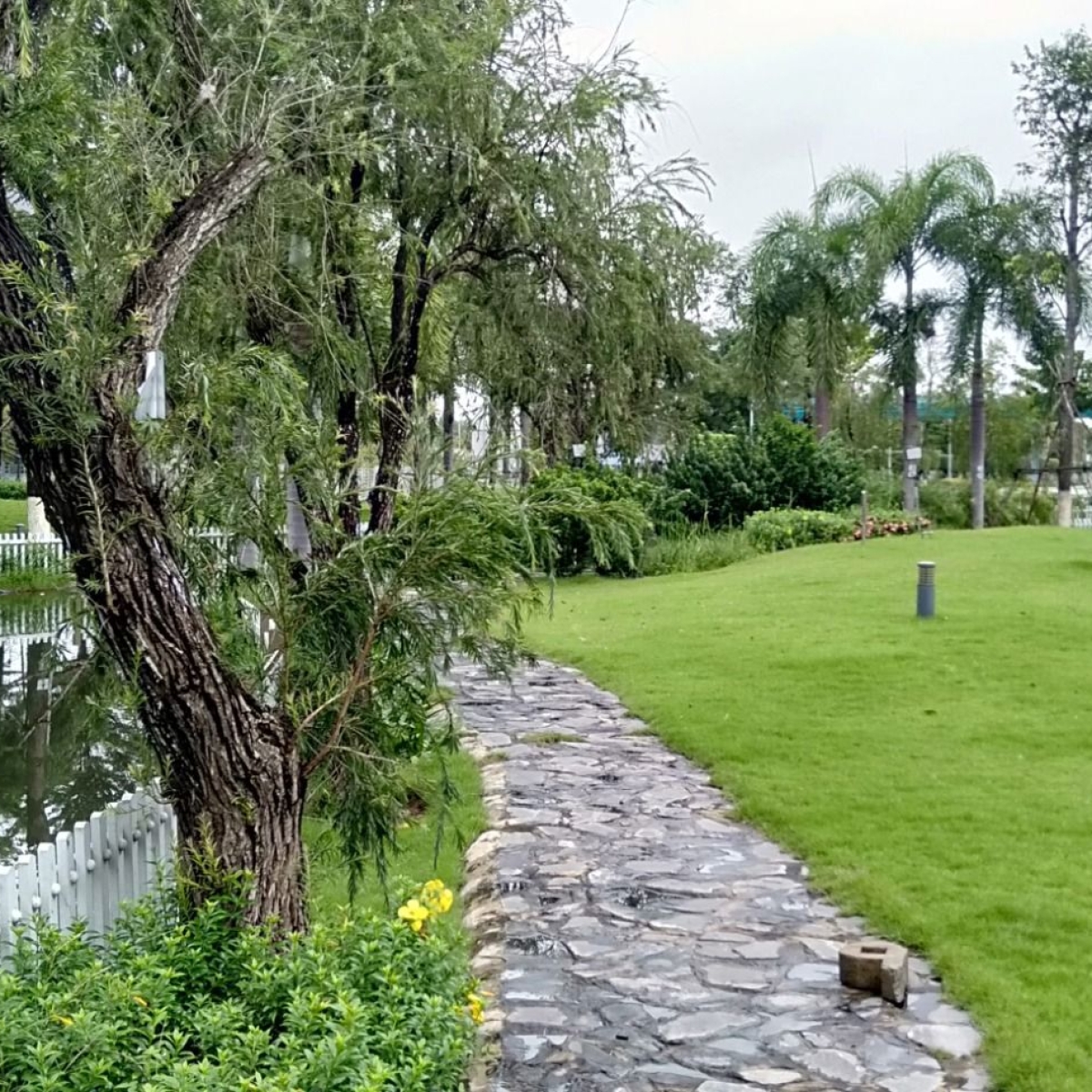 BỆNH VIỆN NHI ĐỒNG THÀNH PHỐ