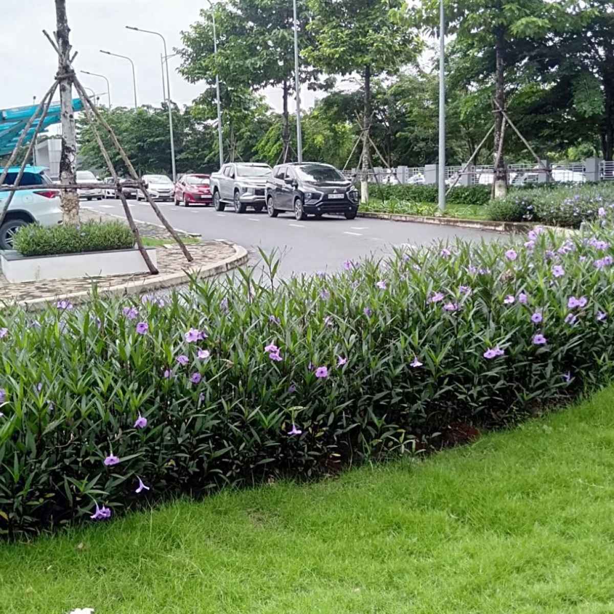 BỆNH VIỆN NHI ĐỒNG THÀNH PHỐ