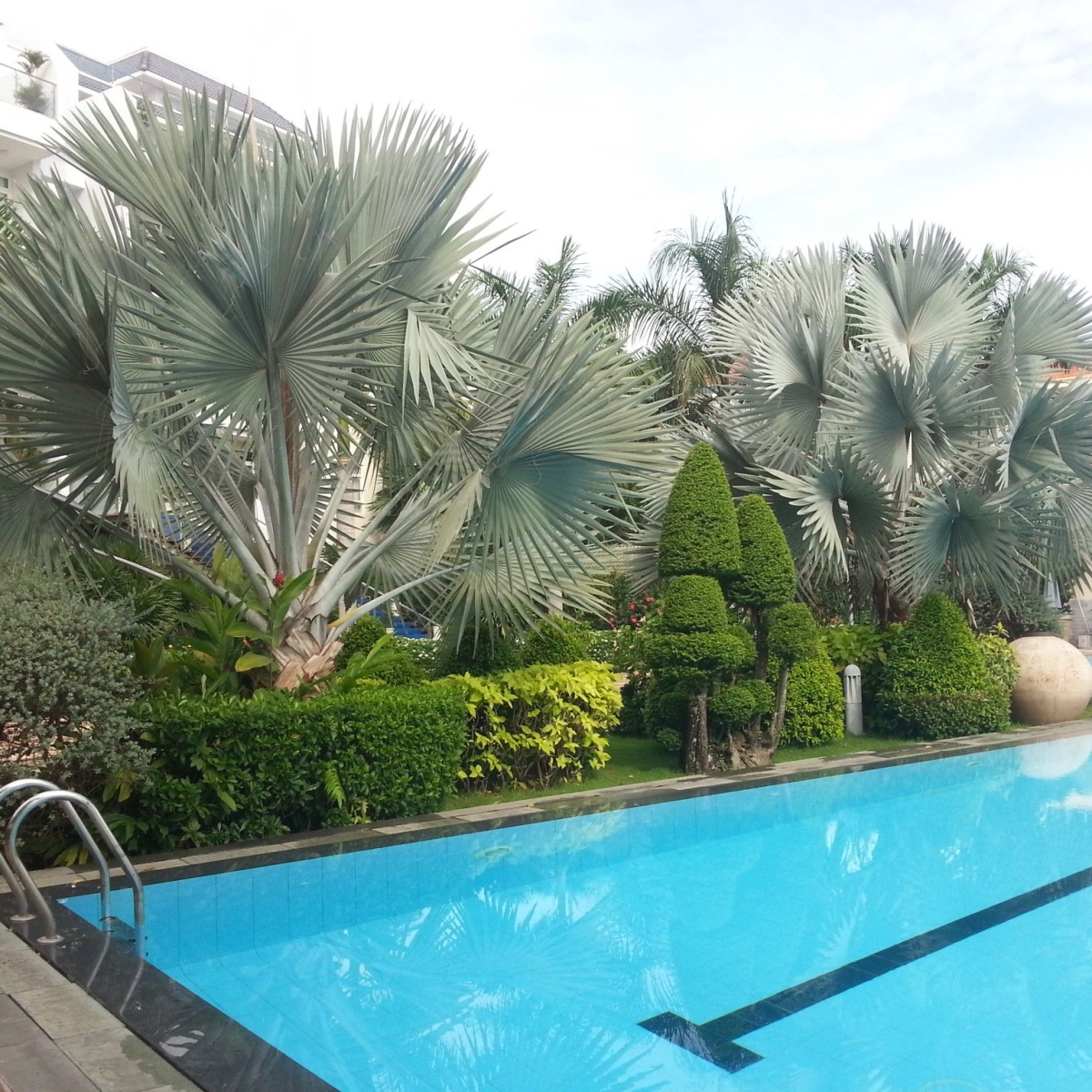 KBT CC AN PHÚ - THẢO ĐIỀN