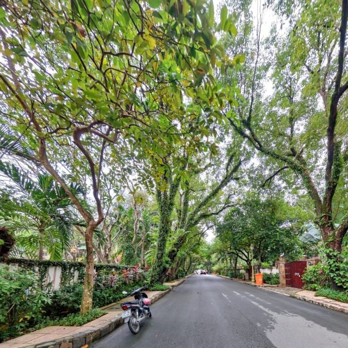 KHU BIỆT THỰ CAO CẤP AN PHÚ - PHƯỜNG THẢO ĐIỀN