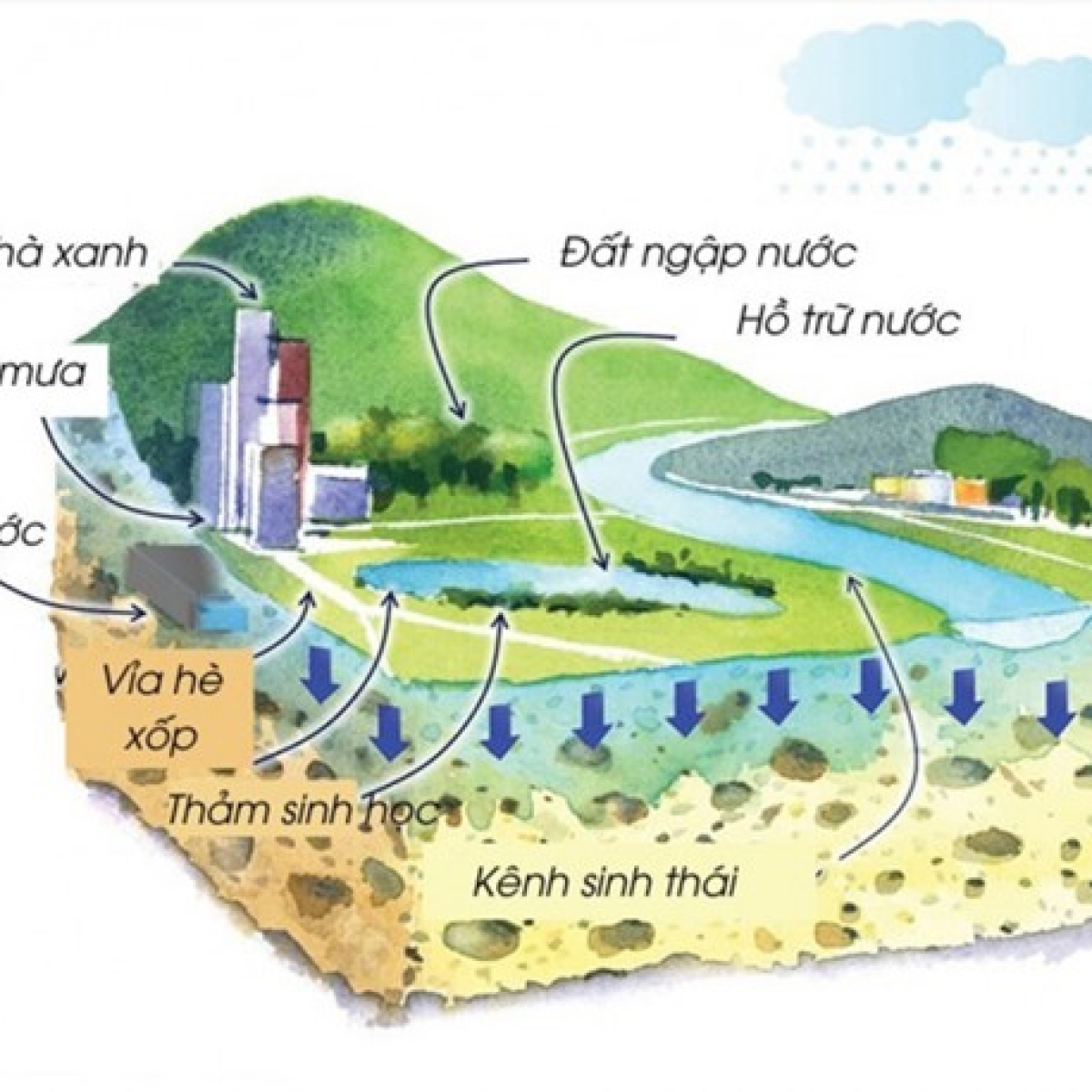 Lợi ích nổi bật của GCT CRYSTAL BIO trong xây dựng Thành Phố Bọt Biển – Giải pháp thoát nước nhanh chóng cho nền công viên và lối đi vỉa hè