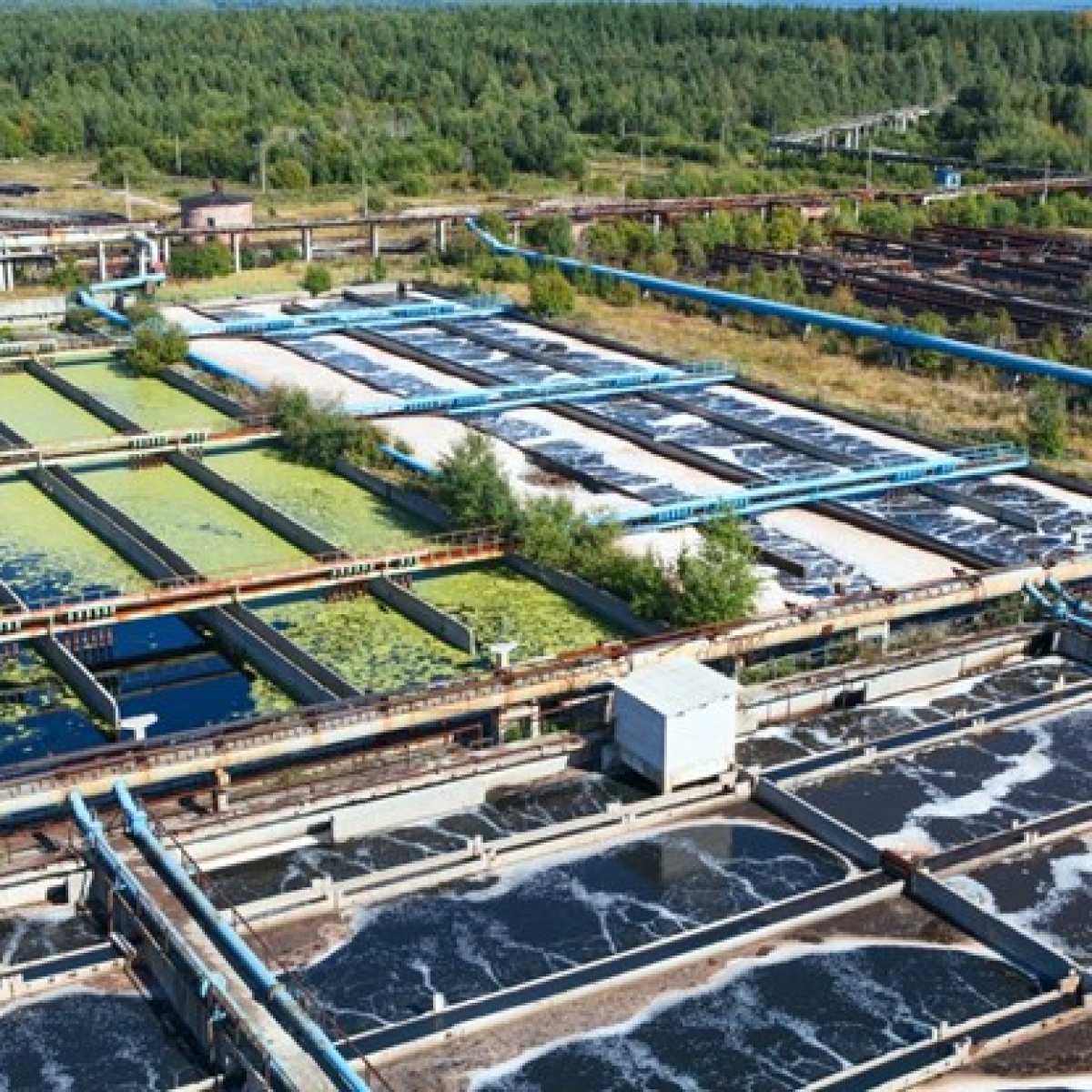 Đá bọt thủy tinh GCT Crystal Bio: Giải Pháp Xanh Thay Thế Giá Thể Nhựa Trong Hệ Thống Xử Lý Nước Thải, Giảm Rác Thải Và Bảo Vệ Môi Trường