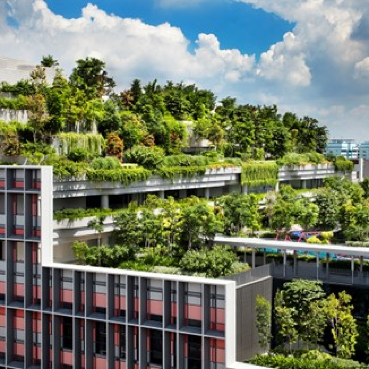 GCT Crytal Bio – Giải pháp vật liệu đột phá cho thi công Mái Nhà Xanh (Vườn trên mái)