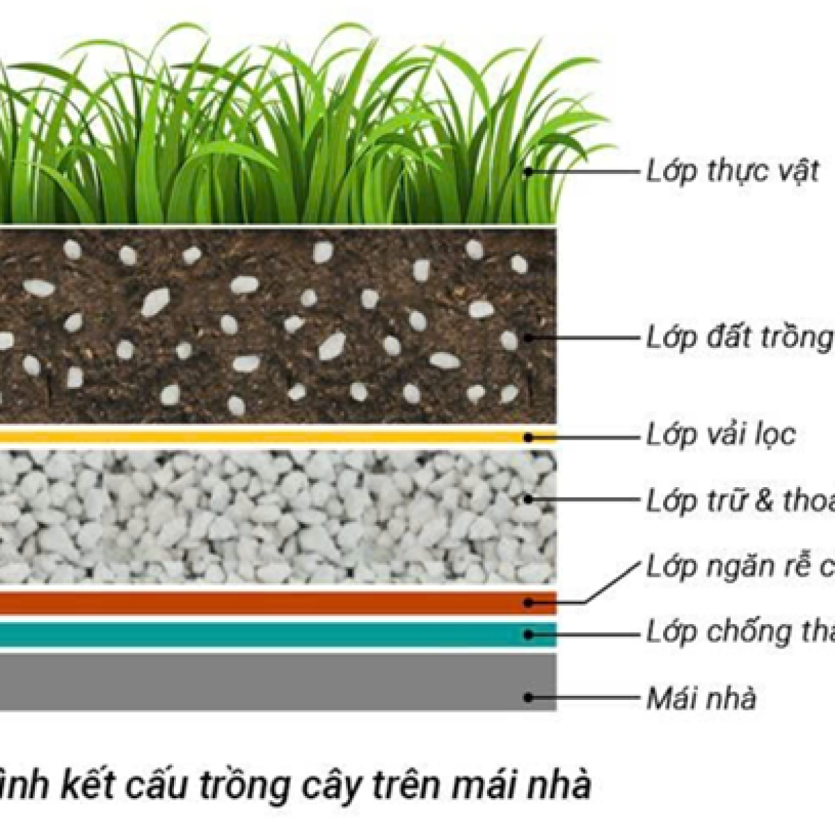 GCT Crytal Bio – Giải pháp vật liệu đột phá cho thi công Mái Nhà Xanh (Vườn trên mái)
