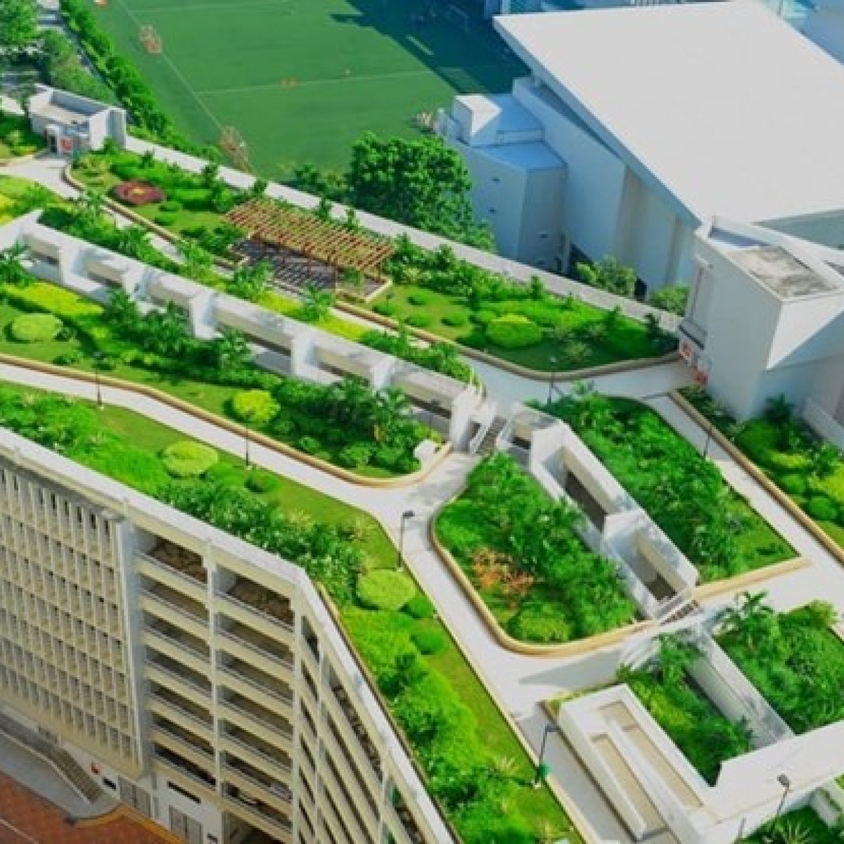 GCT Crytal Bio – Giải pháp vật liệu đột phá cho thi công Mái Nhà Xanh (Vườn trên mái)