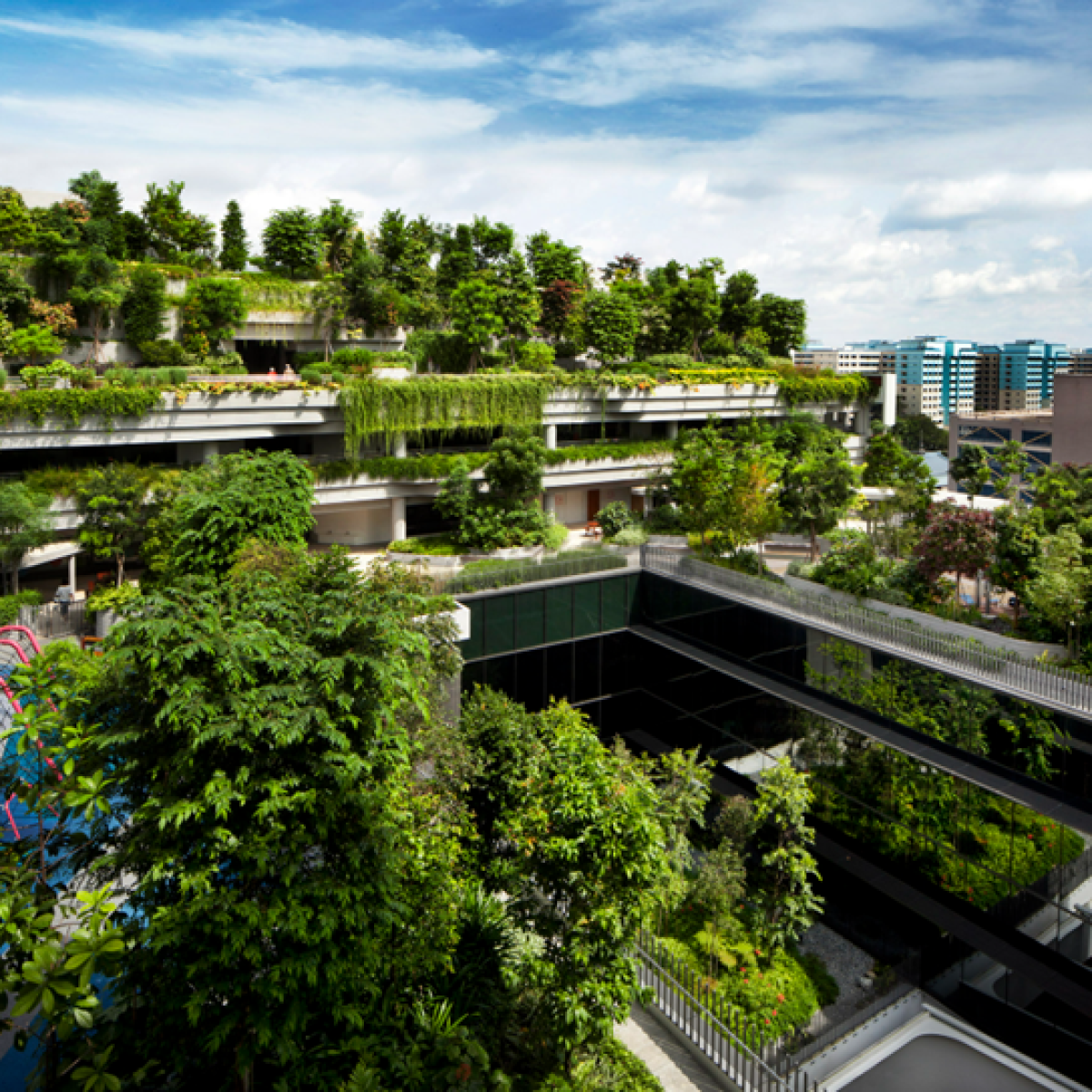 GCT Crytal Bio – Giải pháp vật liệu đột phá cho thi công Mái Nhà Xanh (Vườn trên mái)