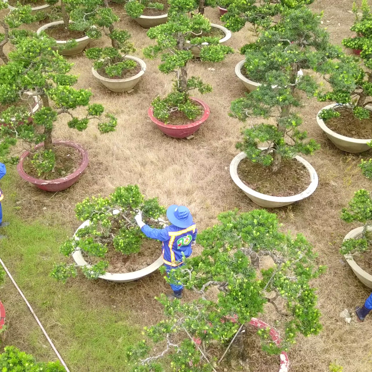 VƯỜN ƯƠM BÁCH KHOA