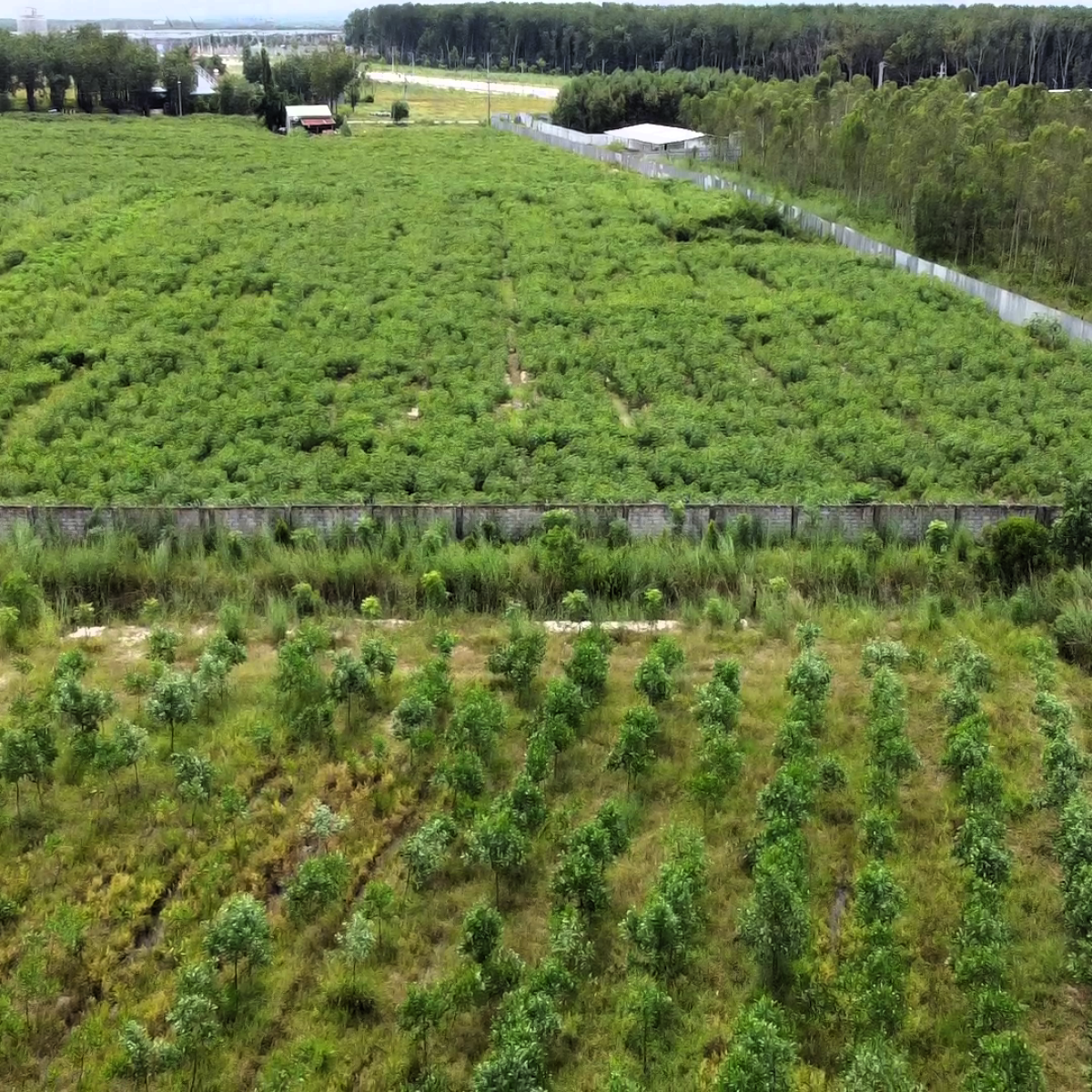 VƯỜN ƯƠM BÌNH THUẬN