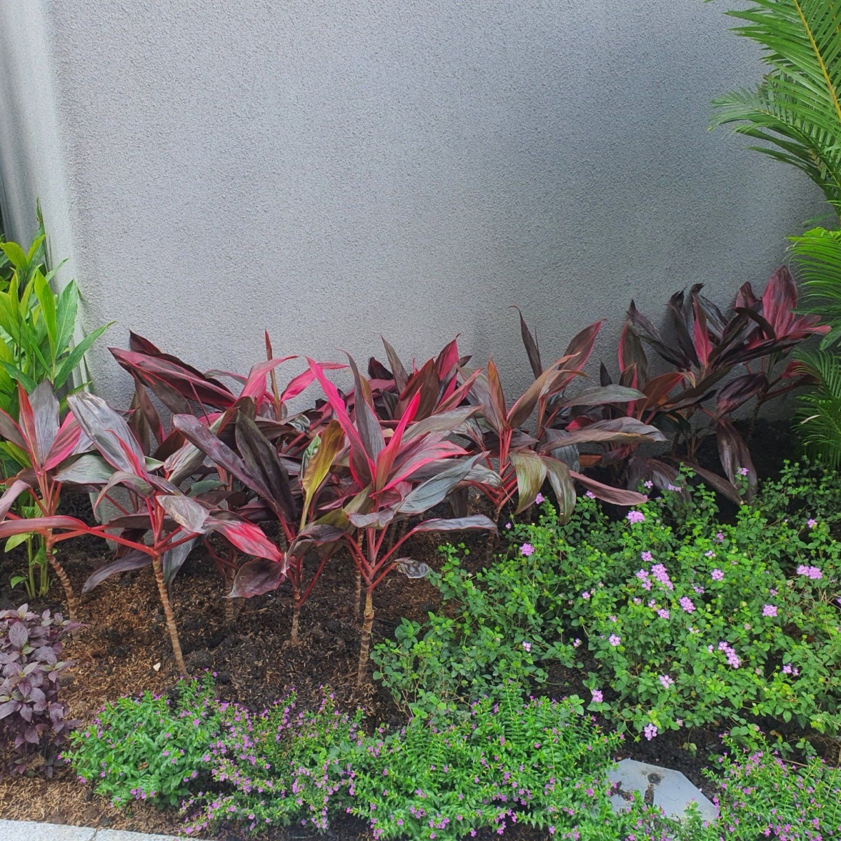 CHUNG CƯ PARIS HOÀNG KIM