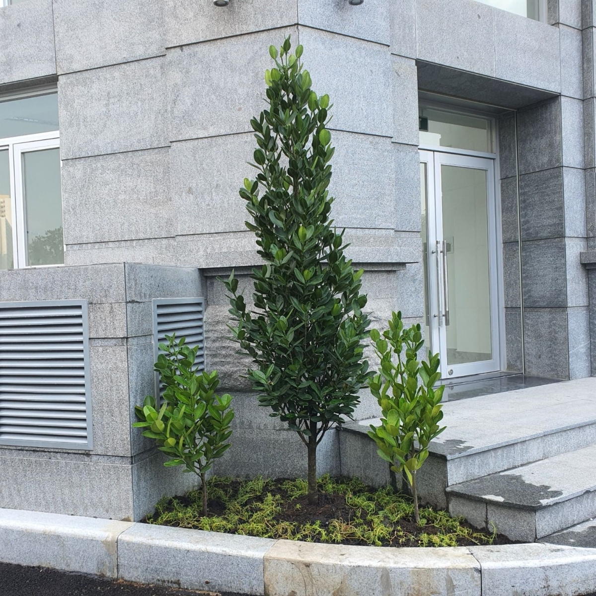 CHUNG CƯ PARIS HOÀNG KIM