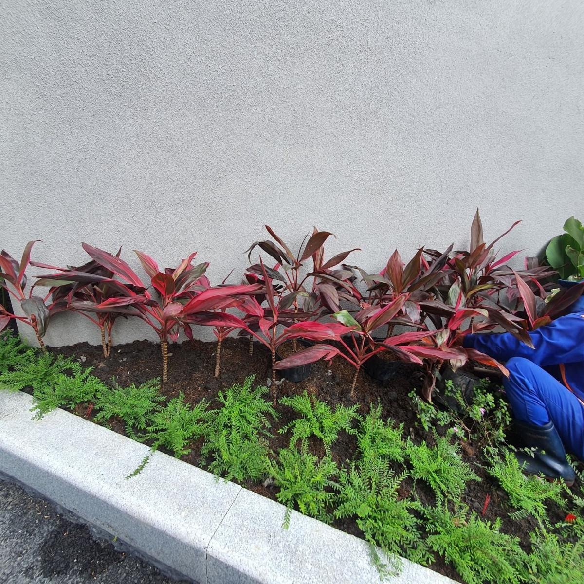 CHUNG CƯ PARIS HOÀNG KIM