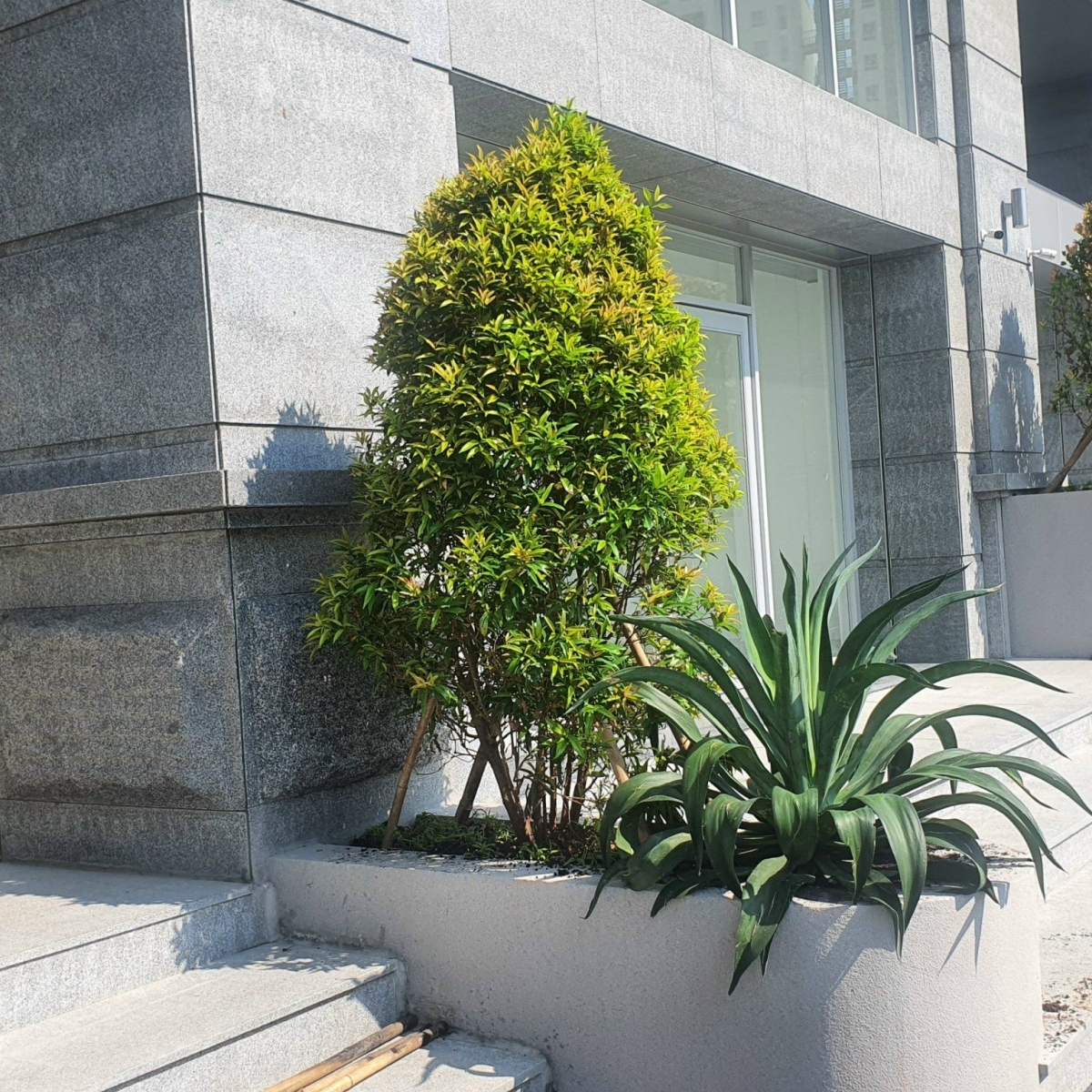 CHUNG CƯ PARIS HOÀNG KIM