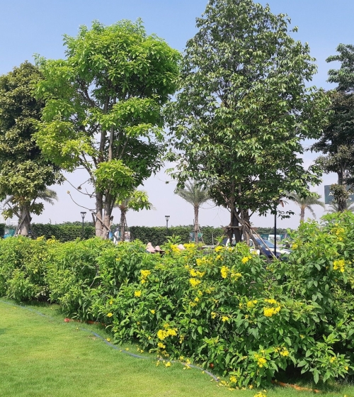 AQUA CITY GALLERY - NOVALAND