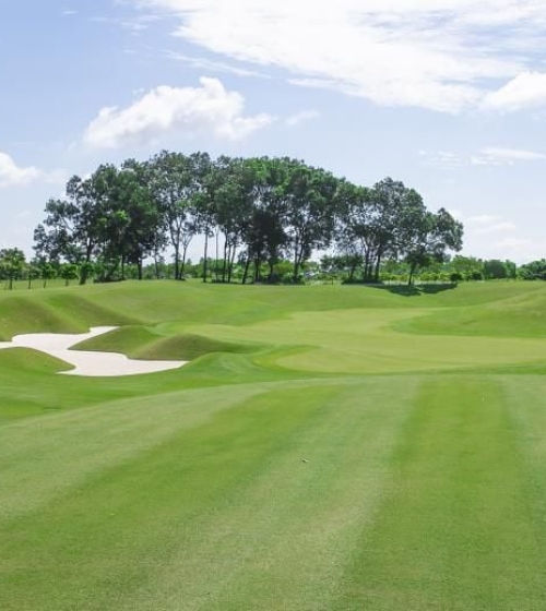 THI CÔNG DỰ ÁN HARMONIE GOLF COURSE