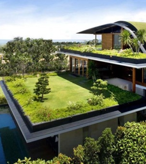 GCT Crytal Bio – Giải pháp vật liệu đột phá cho thi công Mái Nhà Xanh (Vườn trên mái)